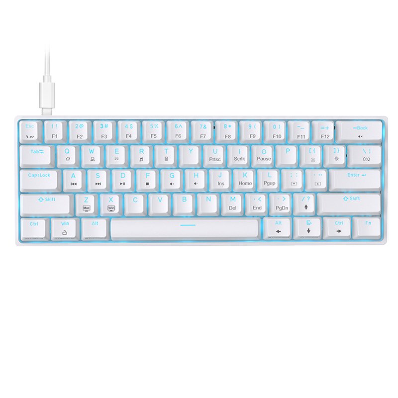 DIERYA DK61SE 60% Mechanical Gaming Keyboard, 61 Keys Anti-Ghosting, LED  Backlight, Detachable USB-C, Ultra-Compact Mini Wired Keyboard with Blue
