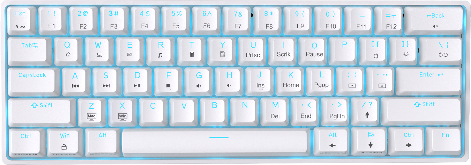 DIERYA DK61SE Wired 60% Percent Mechanical Keyboard, RGB Backlit
