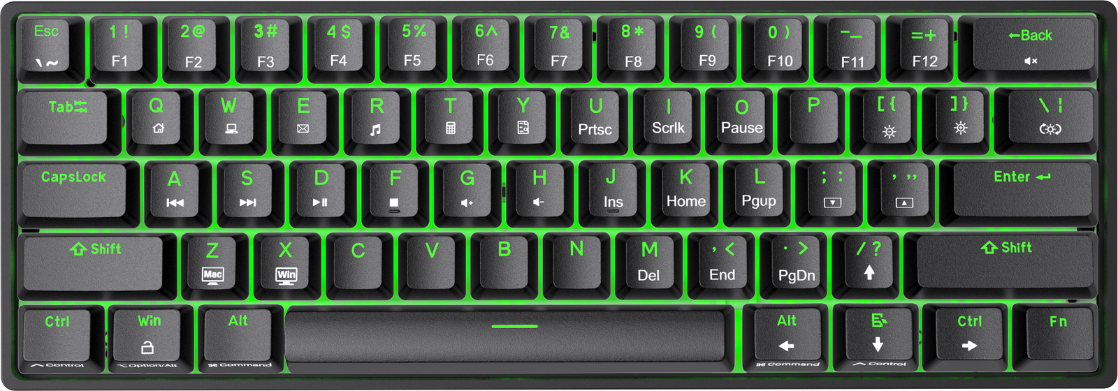 DIERYA DK61SE Wired 60% Percent Mechanical Keyboard, RGB Backlit
