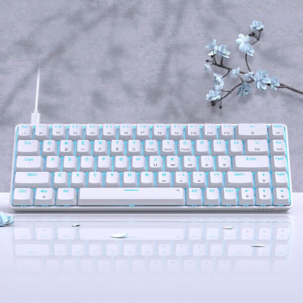 Modding DK61E de Dierya - Un clavier gaming 60% 