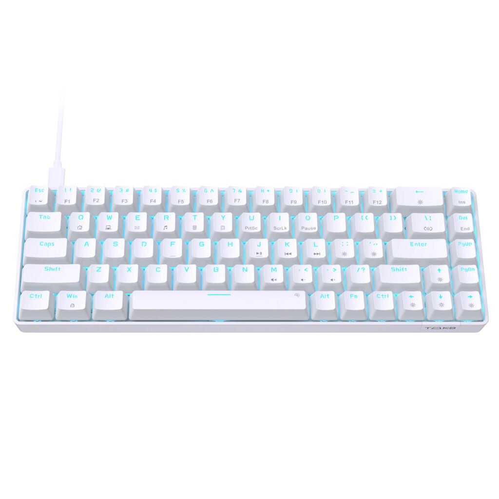  DIERYA T68SE Mechanical Gaming Keyboard, LED-Backlit Wired  Keyboard, Ultra-Compact Mini 68-Key White Keyboard with Brown Switches,  Anti-Ghosting Keys, for Windows Laptops and PC Gamers : Video Games